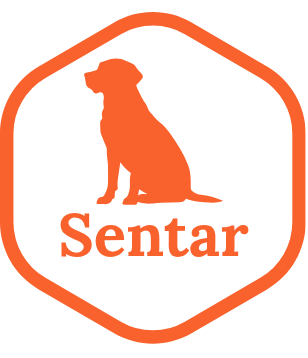 Com um simples comando, seu pet se senta prontamente, atento e obediente.